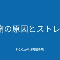 青　シンプル　ポートフォリオ　プレゼンテーション - 1