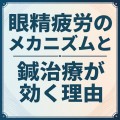 26542921-8850-4409-B79D-C71A9E23176C